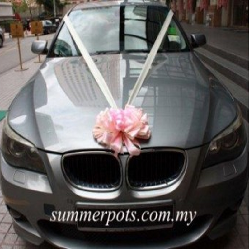 Wedding Car 025a