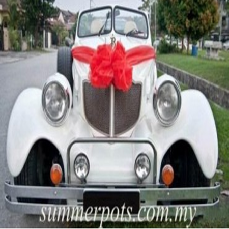 Wedding Car 004a