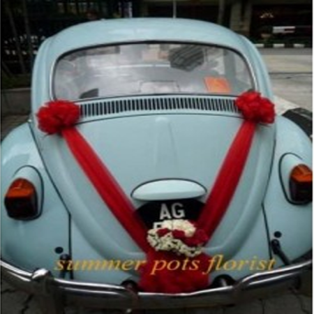 Wedding Car 006a