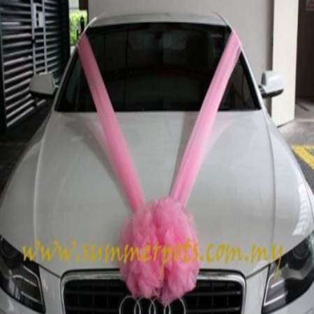 Wedding Car 008a