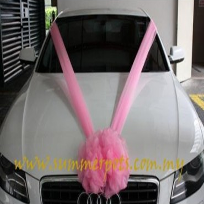 Wedding Car 008a
