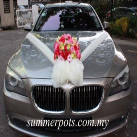 Wedding Car 009a