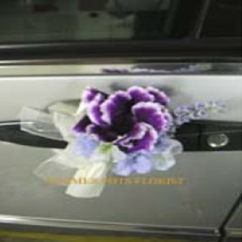 Wedding Car 012c