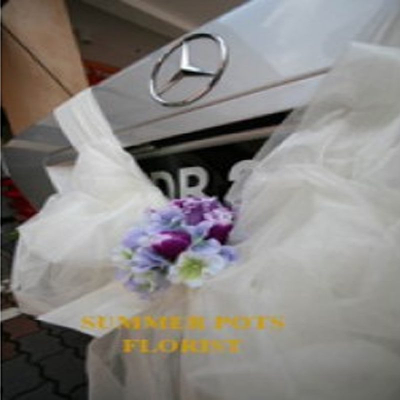 Wedding Car 012b