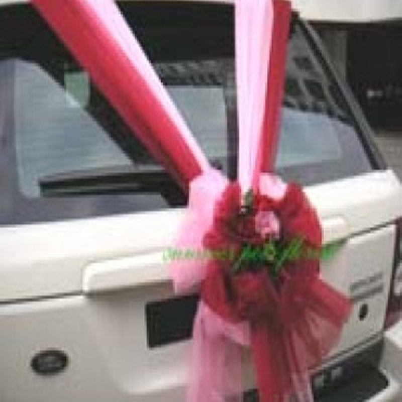 Wedding Car 016b