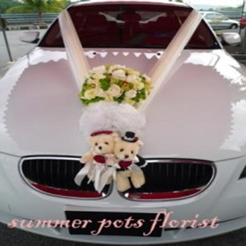Wedding Car 020a