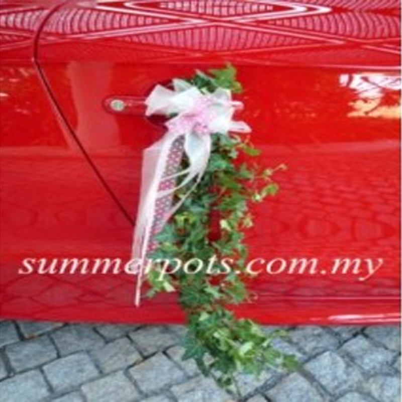 Wedding Car 022c