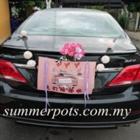 Wedding Car 023b