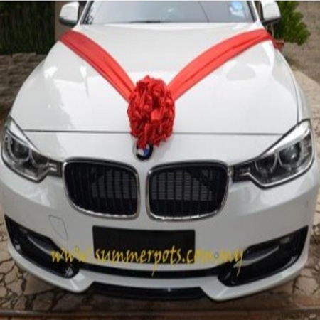 Wedding Car 026a