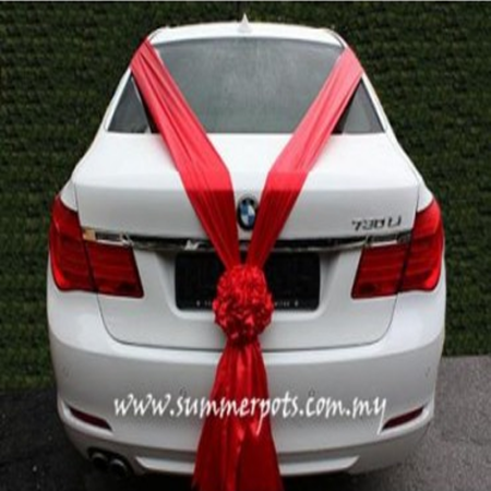 Wedding Car 026b