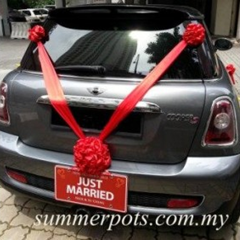 Wedding Car 028b