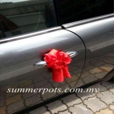 Wedding Car 028c