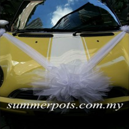 Wedding Car 030a