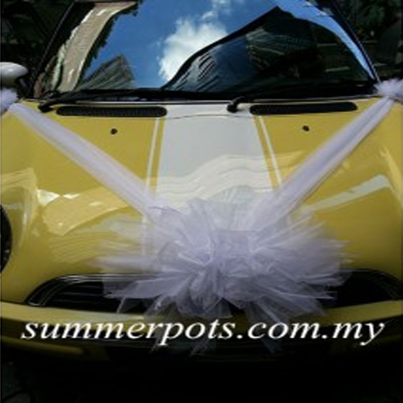 Wedding Car 030a