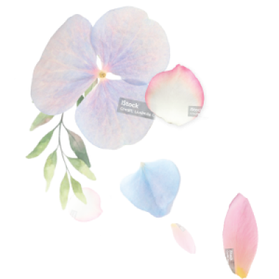 summer-pot-site-floating-flower-300px